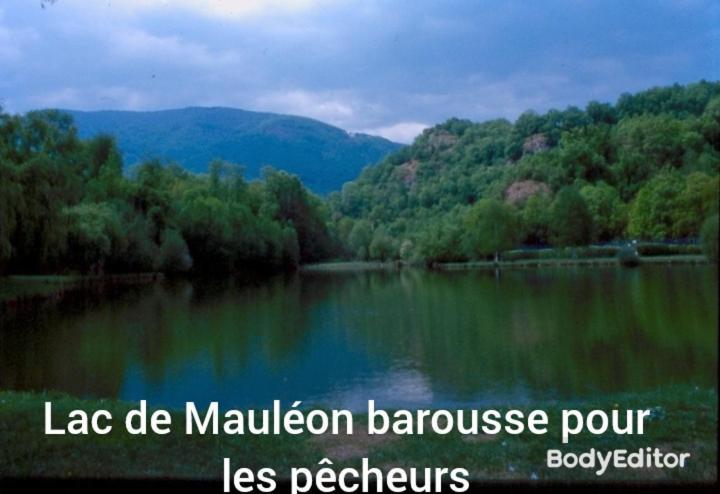 Petit Village Authentique Mauléon-Barousse Exteriör bild